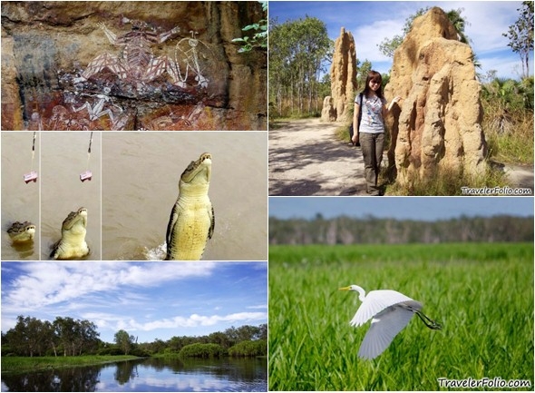 northern-territory-attraction-australia