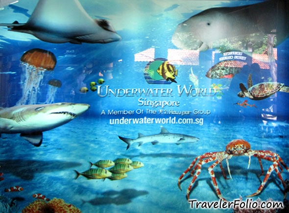 Sentosa Underwater World | Photos | Singapore travel blog @ Singapore Travel \u0026 Lifestyle Blog