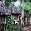 african-straw-hut