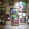 ah-meng-singapore-mandai-zoo