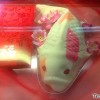 chinese-new-year-koi-nian-gao