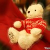 christmas-bear-coffee-bean