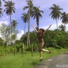 coconut_trees_plantation
