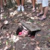 cu_chi_tunnel_ho_chi_minh_city_vietnam_03