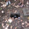 cu_chi_tunnel_ho_chi_minh_city_vietnam_05