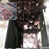 cu_chi_tunnel_hochiminh_vietnam_14