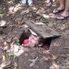 cu_chi_tunnels