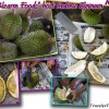 durians