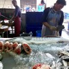 fish-market