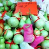 gourd