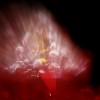 laser-show