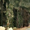 limestone-cave-photo