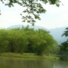malaysia-taiping-lake-sexy-man