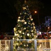 maybank-christmas-tree