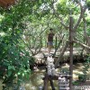 mekong_delta_vietnam_02