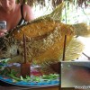 mekong_delta_vietnam_11