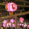 mid-autumn-festival-lanterns