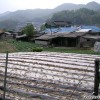 nami_island_sangoo_herb_land_6