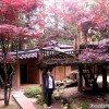 nami_island_winter_sonata_2