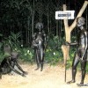 night-safari-picture