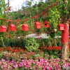 octeast_garden_shenzhen