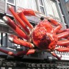 osaka_japan_crab_building