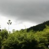 overcast-sky