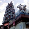 pagoda-street-chinatown-singapore