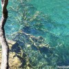 panda_lake_01
