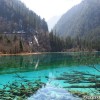 panda_lake_06