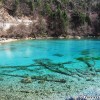 panda_lake_07