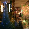 recycled-bottle-christmas-tree