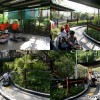 sentosa-luge