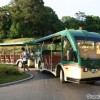 sentosa-tram