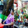 singapore-chinese-new-year-plants