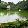 singapore-mandai-zoo