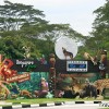 singapore-zoo