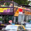 singapore_hippo_tour_bus