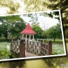 taiping-lake-garden-malaysia
