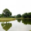 taiping-lake-gardens-malaysia-panoramic