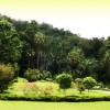 taman-botani