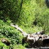 untertal_21