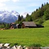untertal_25