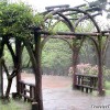 yangminshan-national-park