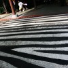 zebra-crossing