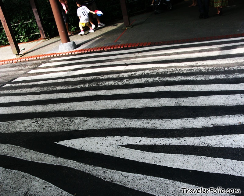And this is “zebra crossing”