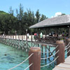 Burnt in Manukan island