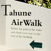 Day 2 – Exploring Tahune Forest Reserve