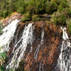 Videos of Tassie Day 6