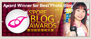 top travel blog singapore
